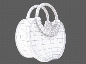 Bag V12 3D Model