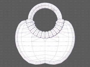 Bag V12 3D Model