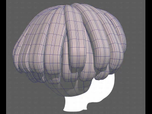 Base Hair for Boy V53 3D Model