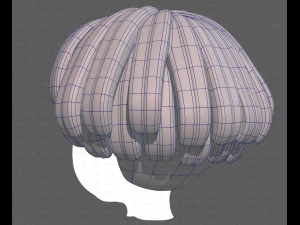 Base Hair for Boy V53 3D Model