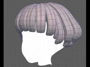 Base Hair for Boy V53 3D Model