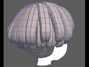Base Hair for Boy V53 3D Model