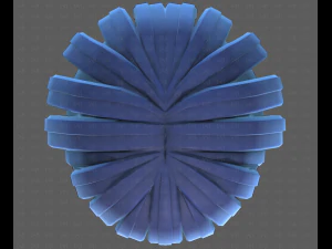Base Hair for Boy V53 3D Model