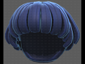 Base Hair for Boy V53 Model 3D
