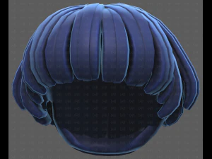 Base Hair for Boy V53 3D Model