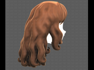 Base Hair for girl V53 3D Model