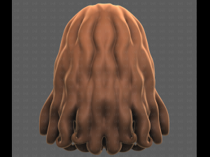 Base Hair for girl V53 3D Model