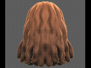 Base Hair for girl V53 3D Model