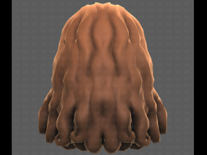 Base Hair for girl V53 3D Model