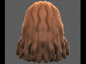 Base Hair for girl V53 3D Model