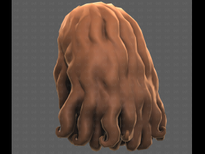 Base Hair for girl V53 3D Model