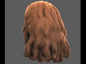 Base Hair for girl V53 3D Model