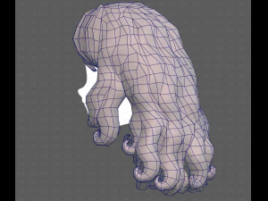 Base Hair for girl V53 3D Model
