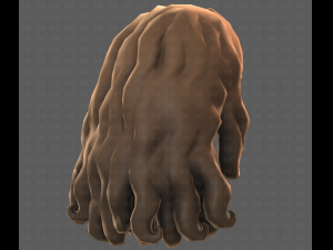 Base Hair for girl V53 3D Model