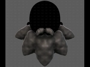 Beard V53 3D Model