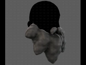 Beard V53 3D Model