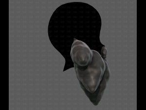 Beard V53 3Dモデル