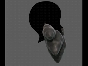 Beard V53 3D Model