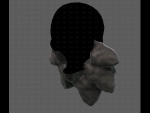Beard V53 3Dモデル