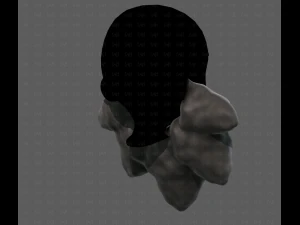 Beard V53 3D Model