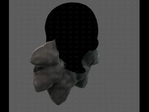 Beard V53 3D Model