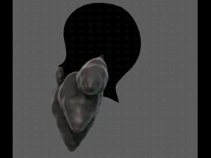 Beard V53 3D Model