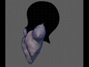 Beard V53 3D Model