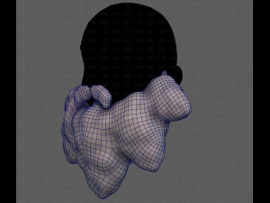 Beard V53 3D Model