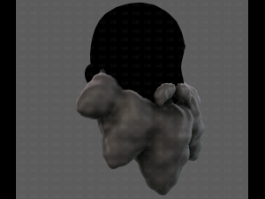 Beard V53 3Dモデル