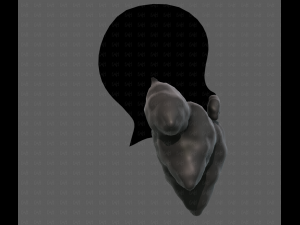 Beard V53 3Dモデル