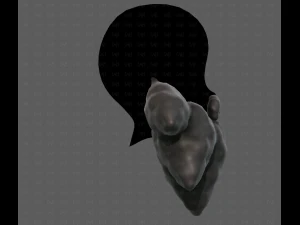 Beard V53 3D Model