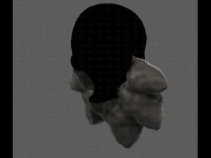Beard V53 3D Model