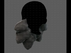 Beard V53 3D Model