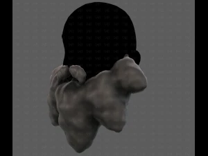 Beard V53 3D Model