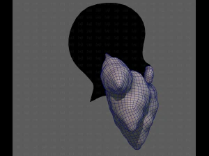 Beard V53 3D Model