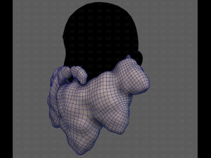 Beard V53 3Dモデル