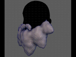 Beard V53 3D Model