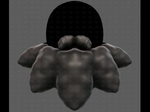 Beard V53 3D Model
