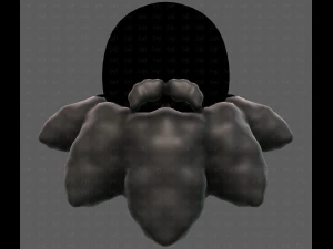 Beard V53 3D Model