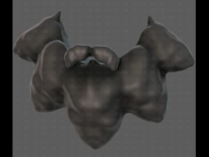 Beard V53 3D Model