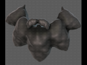 Beard V53 3Dモデル