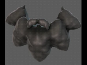 Beard V53 3D Model