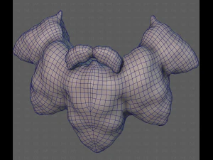 Beard V53 3D Model
