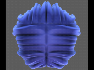 3D Hair style for girl V113 3D-Modell