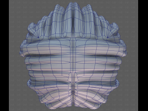 3D Hair style for girl V113 3D-Modell
