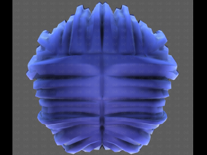 3D Hair style for girl V113 3D-Modell