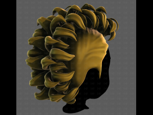 3D Hair style for boy V114 3D Модель