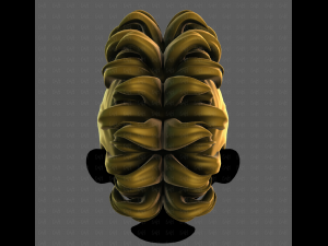 3D Hair style for boy V114 3D Модель
