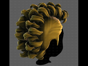 3D Hair style for boy V114 3D Модель