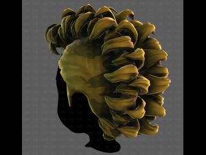3D Hair style for boy V114 3D Модель